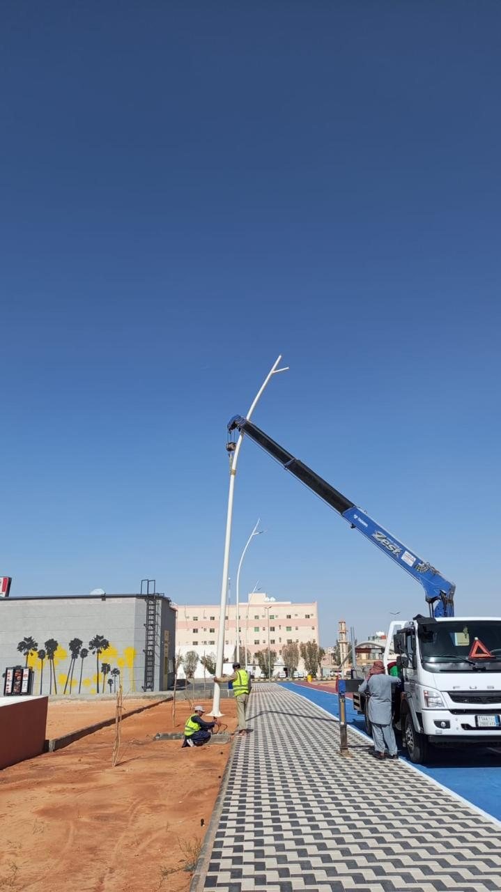 صيانة انارة طرق واحياء البكيرية - صورة 11